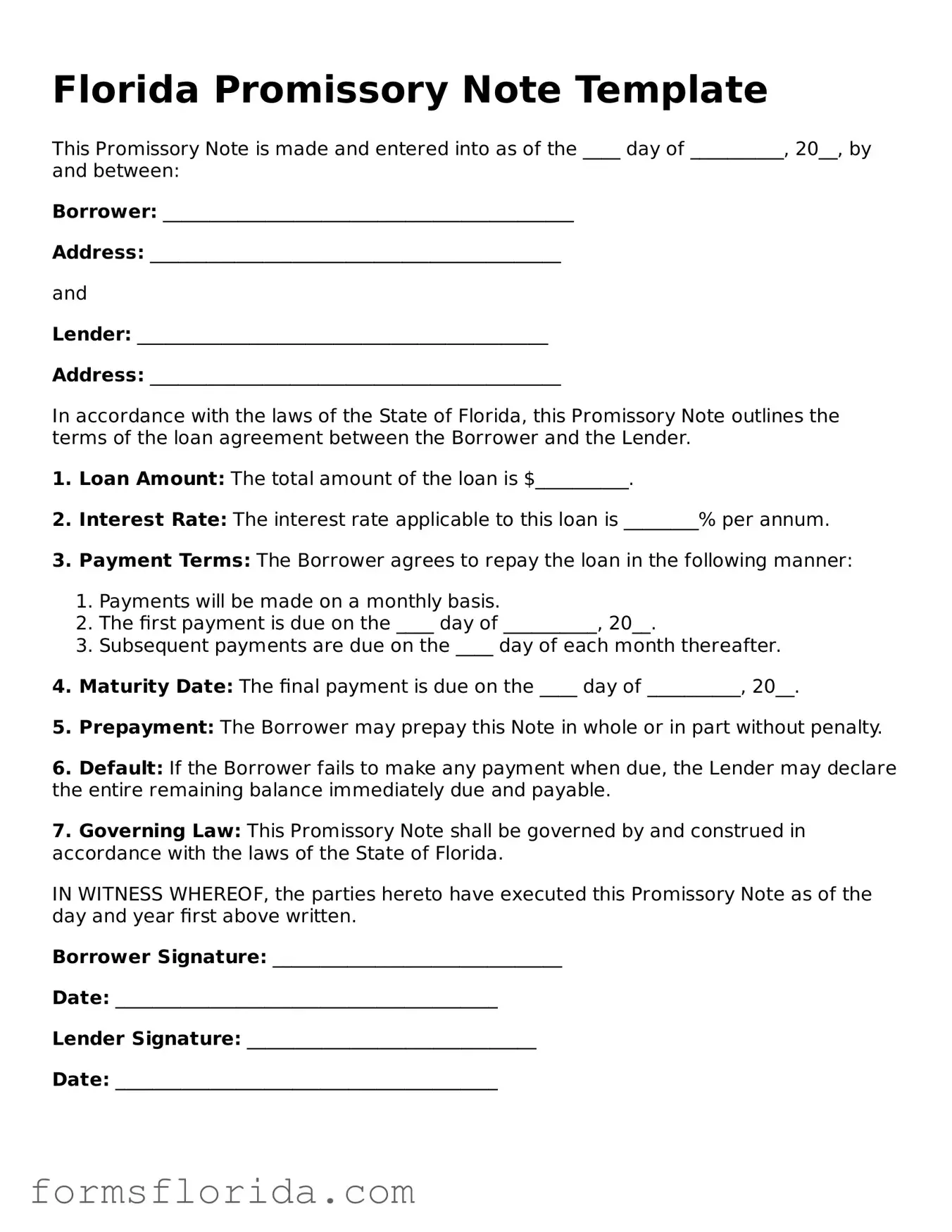 Printable  Promissory Note Document for Florida