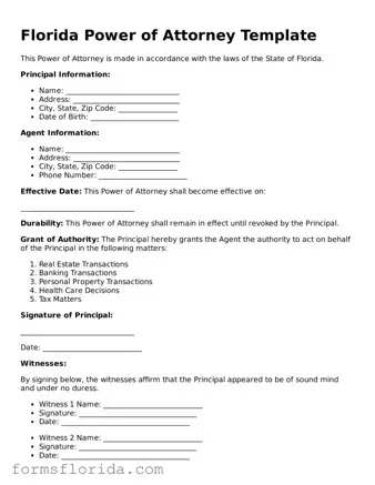 Printable  Power of Attorney Document for Florida