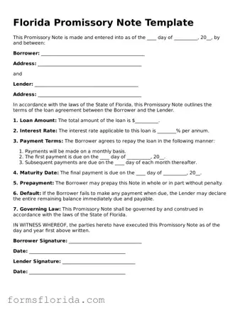 Printable  Promissory Note Document for Florida